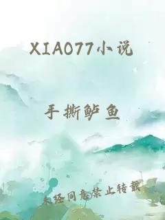 XIAO77小说